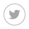 twitter services for business in pakistan